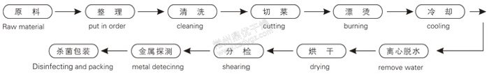 脱水蔬菜带式干燥工艺流程